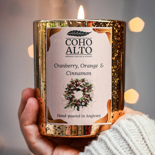 Cranberry Orange & Cinnamon Candle | COHO ALTO